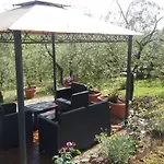 L'oliveta Siena
