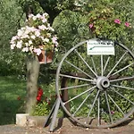L'oliveta * Siena