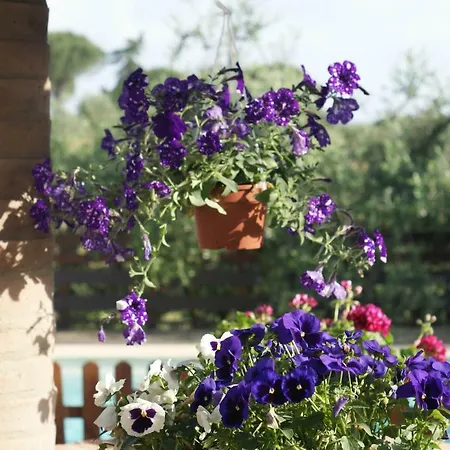 Дом отдыха Casa Vacanze L'oliveta Сиена