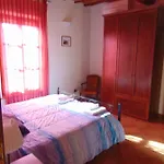 L'oliveta Ferienhaus Siena