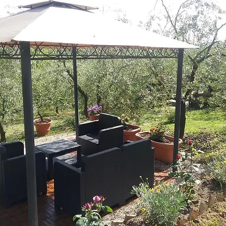 L'oliveta سيينا