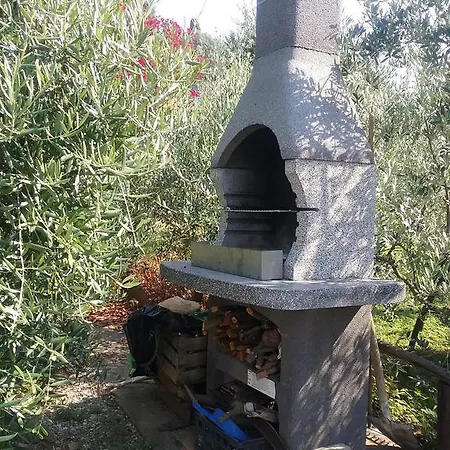 L'oliveta