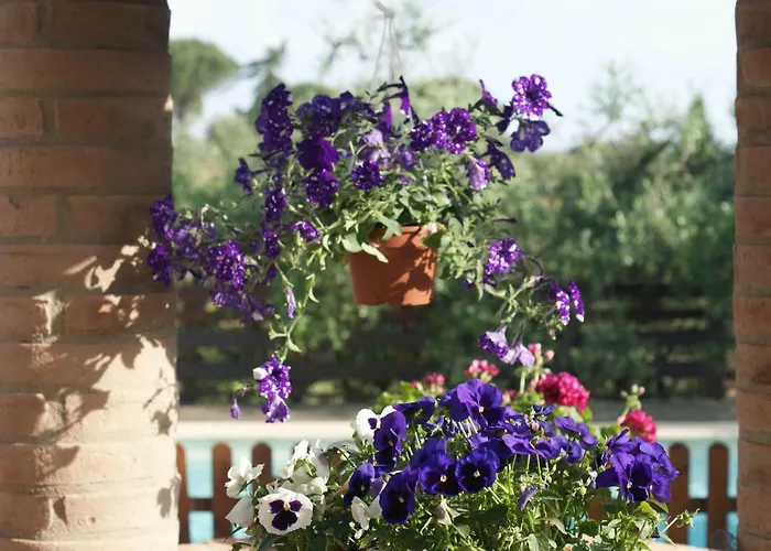 Holiday home L'oliveta Siena