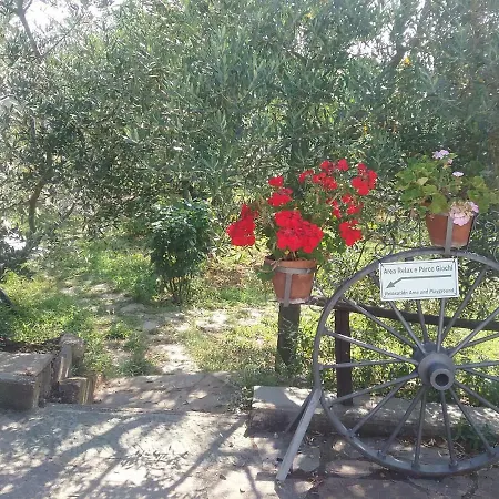 Hébergement de vacances L'oliveta *